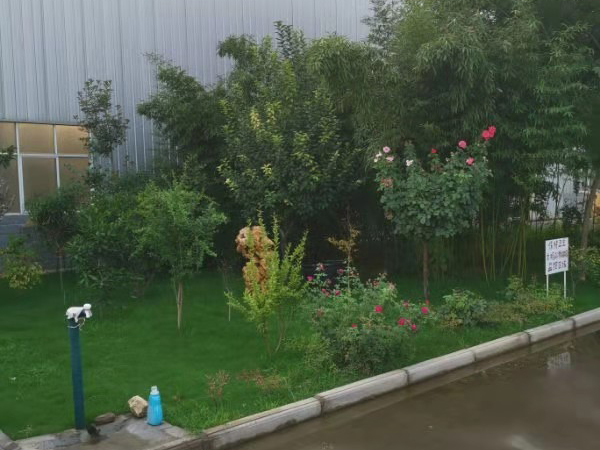 廠區(qū)環(huán)境