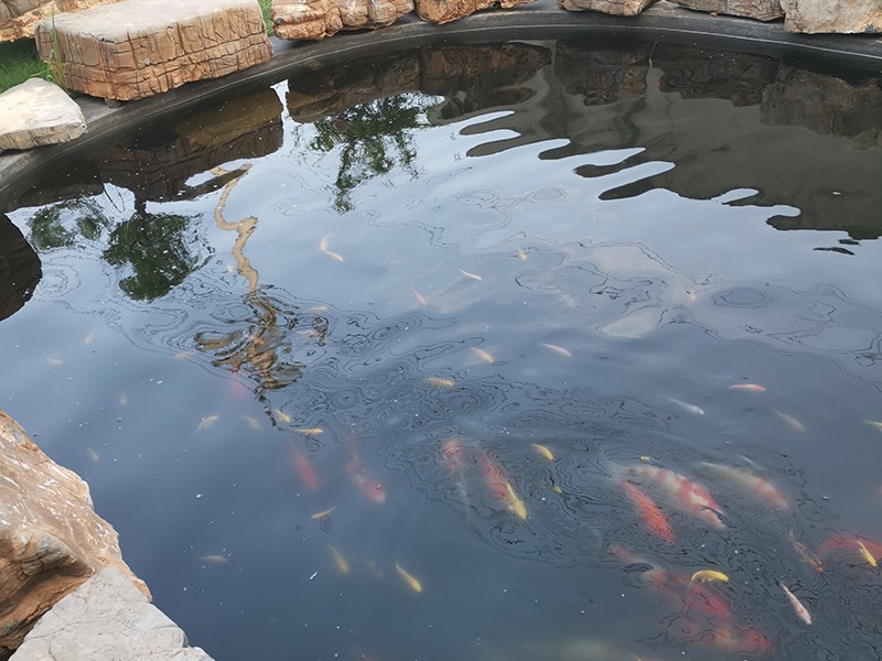 廠區(qū)環(huán)境